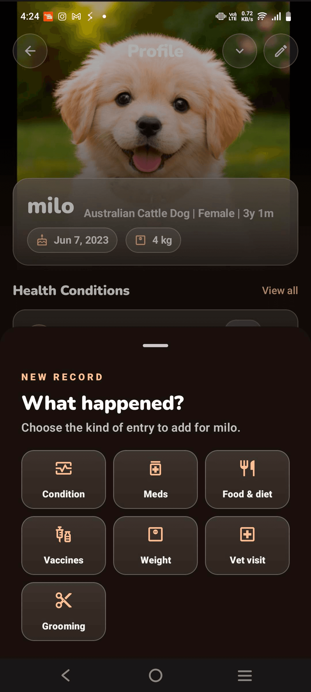PawsClick add record options